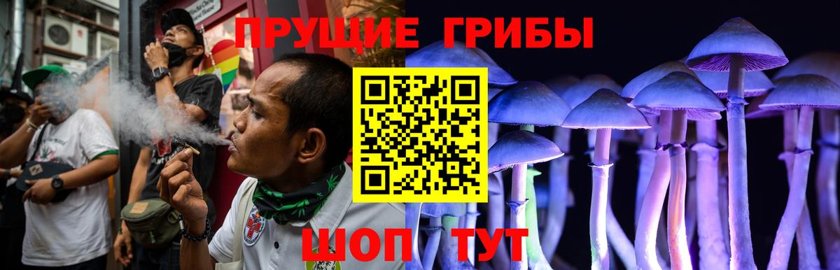 Елабуга  Галлюциногенные грибы Psilocybe  Галлюциногенные грибы Magic Shrooms  сколько стоит  Вход с VPN 